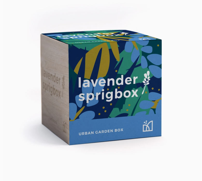 Sprig Box Grow Kits - Various Styles