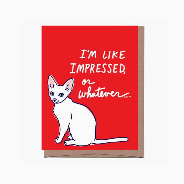 Cat Impresssed Congratulations Card